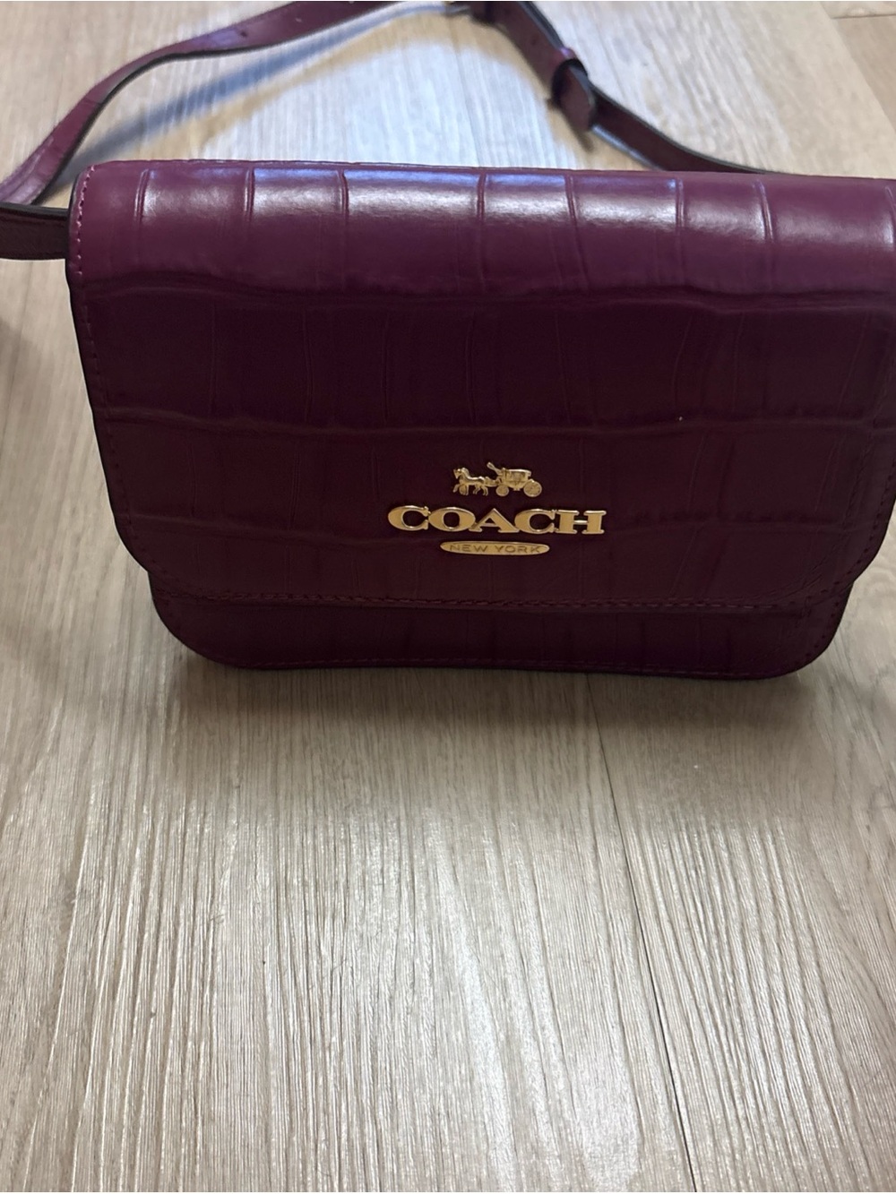 COACH mini Brynn Leather Crossbody Bag